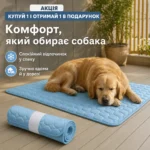 Охолоджувальний килимок для собак Arctic Cooling Mat — Результат використання